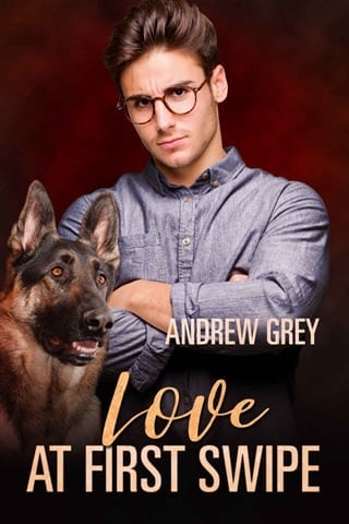 Love at First Swipe by Andrew Grey