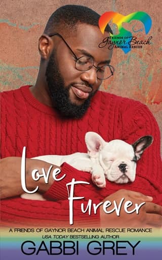 Love Furever by Gabbi Grey