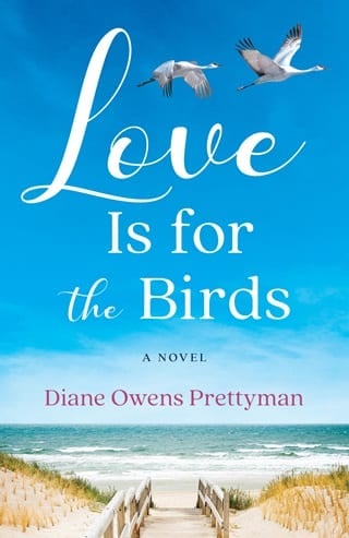 Love Is for the Birds by Diane Owens Prettyman