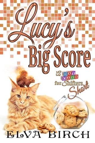 Lucy’s Big Score by Elva Birch