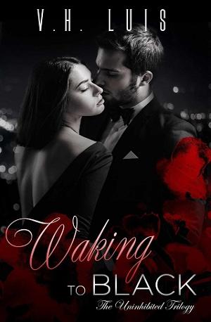 Waking to Black by V.H. Luis