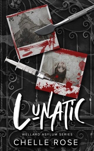 Lunatic by Chelle Rose