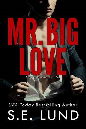 Mr. Big Love by S.E. Lund