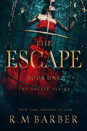 The Escape by R.M Barber