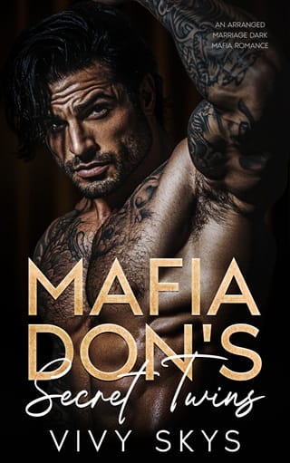 Mafia Don’s Secret Twins by Vivy Skys