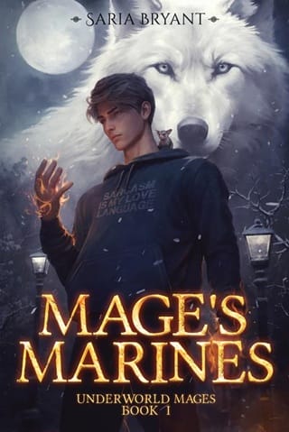 Mage’s Marines by Saria Bryant