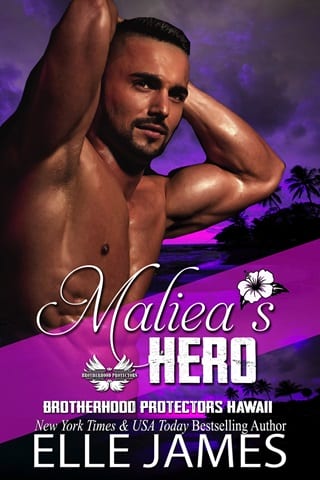 Maliea’s Hero by Elle James