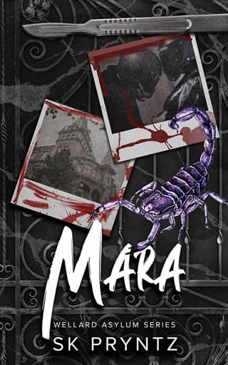 Mara by S.K. Pryntz