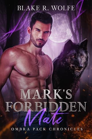 Mark’s Forbidden Mate by Blake R. Wolfe