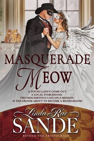 Masquerade Meow by Linda Rae Sande