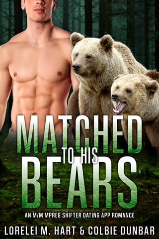Matched To His Bears by Lorelei M. Hart