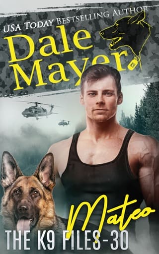 Mateo by Dale Mayer