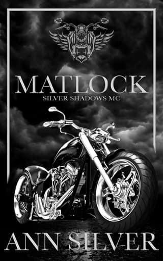 Matlock by Ann Silver
