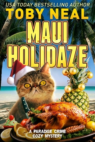 Maui Holidaze by Toby Neal