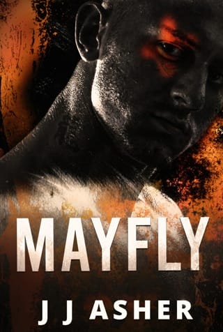 Mayfly by JJ Asher