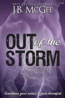 Out of the Storm by J.B. McGee