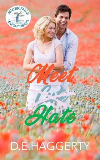 Meet Hate by D.E. Haggerty