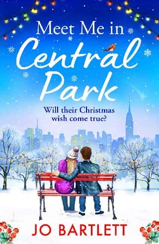 Meet Me In Central Park by Jo Bartlett