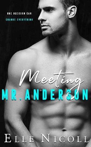 Meeting Mr Anderson by Elle Nicoll