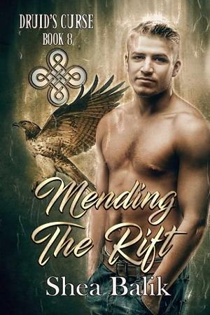 Mending the Rift by Shea Balik