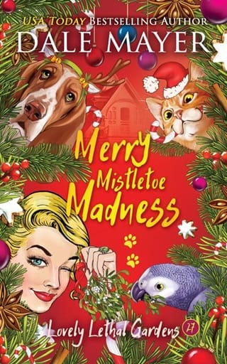 Merry Mistletoe Madness by Dale Mayer