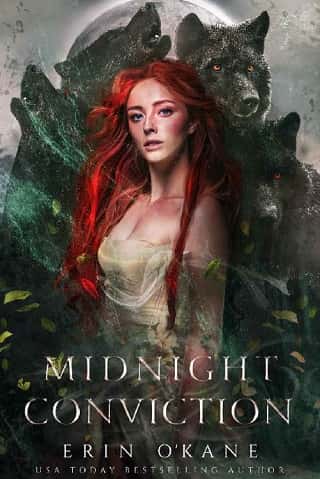 Midnight Conviction by Erin O’Kane