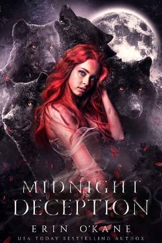 Midnight Deception by Erin O’Kane