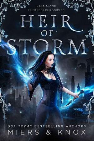 Heir of Storm by D.D. Miers