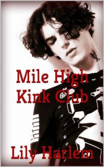 Mile High Kink Club by Lily Harlem