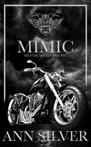 Mimic by Ann Silver