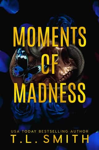 Moments of Madness by T.L. Smith