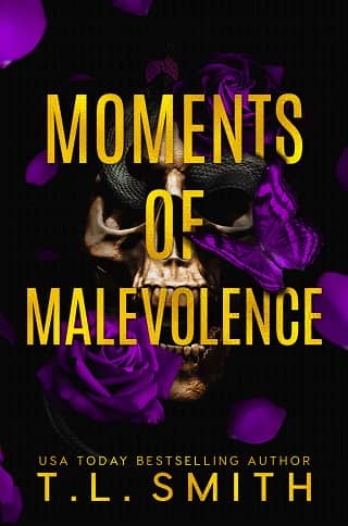 Moments of Malevolence by T.L. Smith