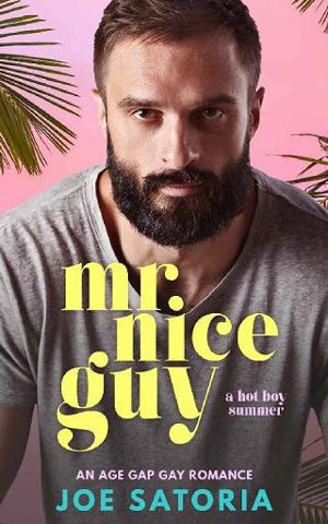 Mr Nice Guy by Joe Satoria