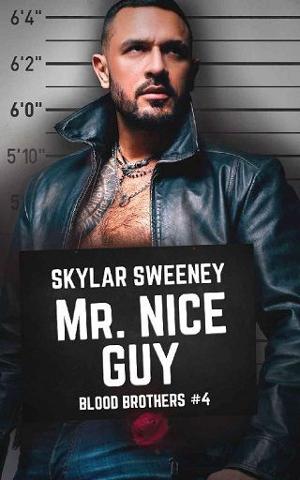 Mr. Nice Guy by Skylar Sweeney