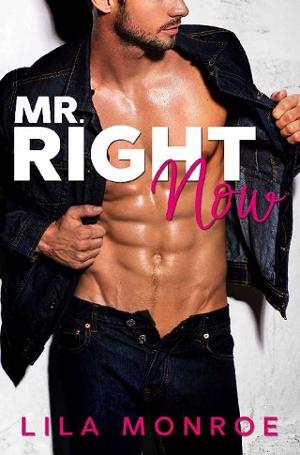 Mr Right Now by Lila Monroe