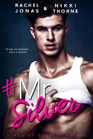 Mr. Silver by Rachel Jonas