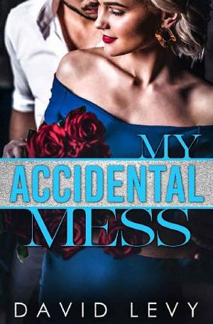 My Accidental Mess by David Levy