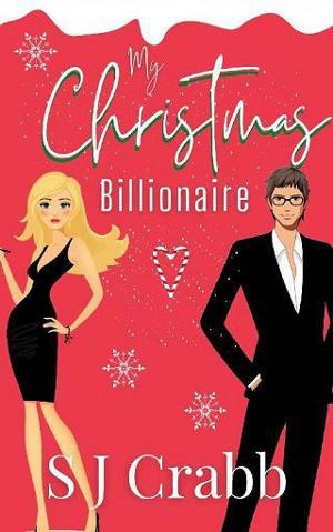 My Christmas Billionaire by S J Crabb