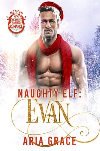 Naughty Elf: Evan by Aria Grace