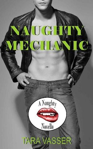 Naughty Mechanic by Tara Vasser