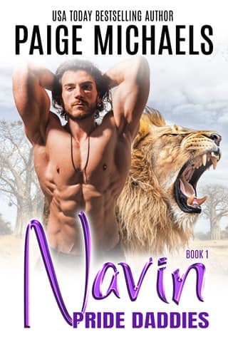 Navin by Paige Michaels