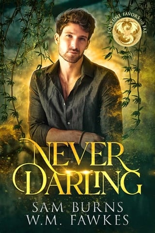 Never Darling by Sam Burns