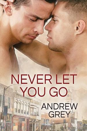 Never Let You Go by Andrew Grey