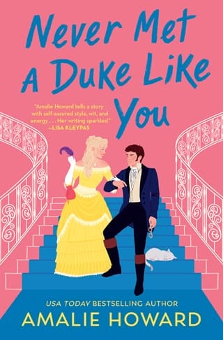 Never Met a Duke Like You by Amalie Howard