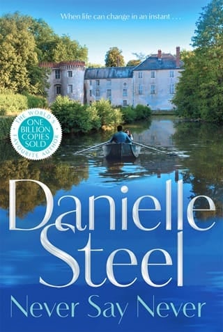 Never Say Never by Danielle Steel