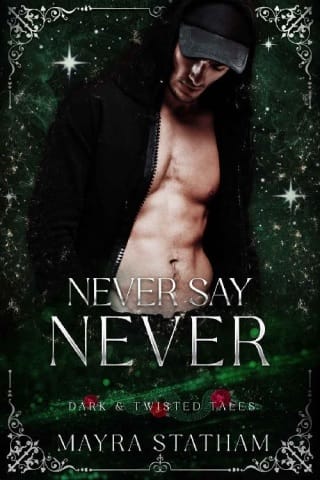 Never Say Never by Mayra Statham