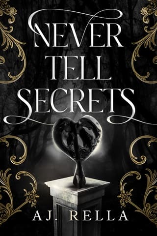 Never Tell Secrets by AJ. Rella