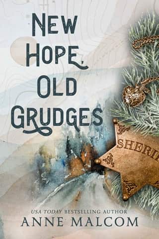 New Hope, Old Grudges by Anne Malcom