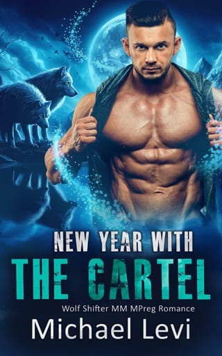 New Year with the Cartel by Michael Levi