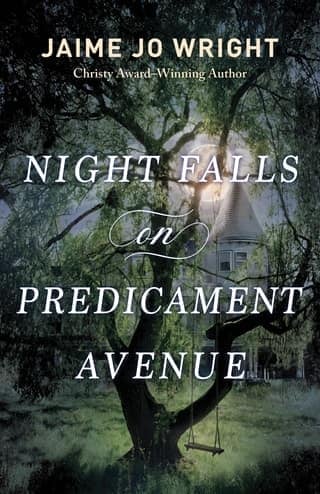 Night Falls on Predicament Avenue by Jaime Jo Wright